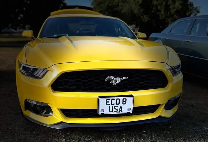 Ford Mustang 2015 photo 5