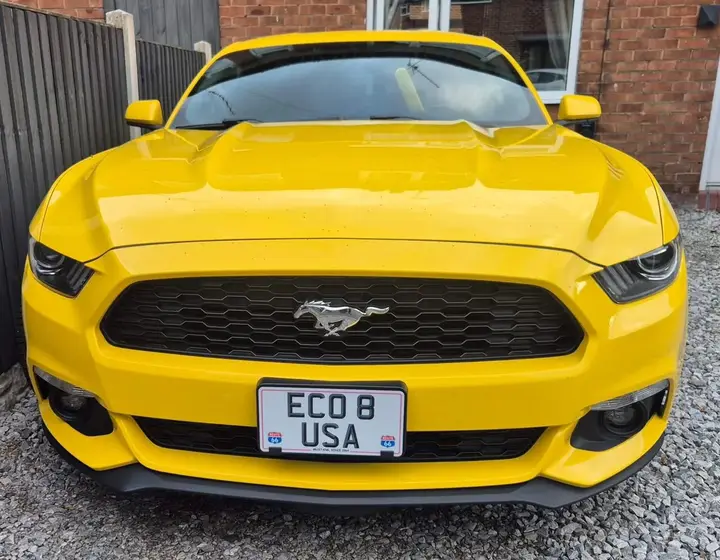Ford Mustang 2015 photo 3