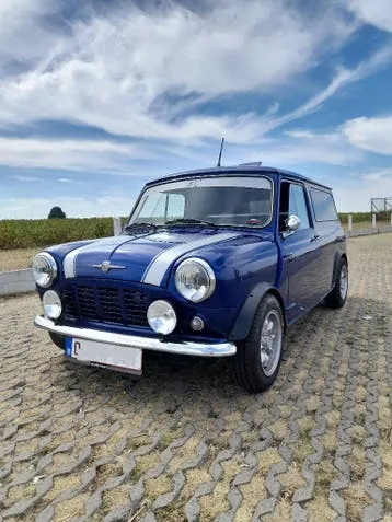 Mini Minivan