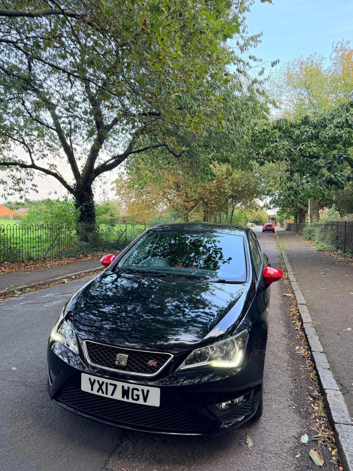 Seat Ibiza 2017 photo 2