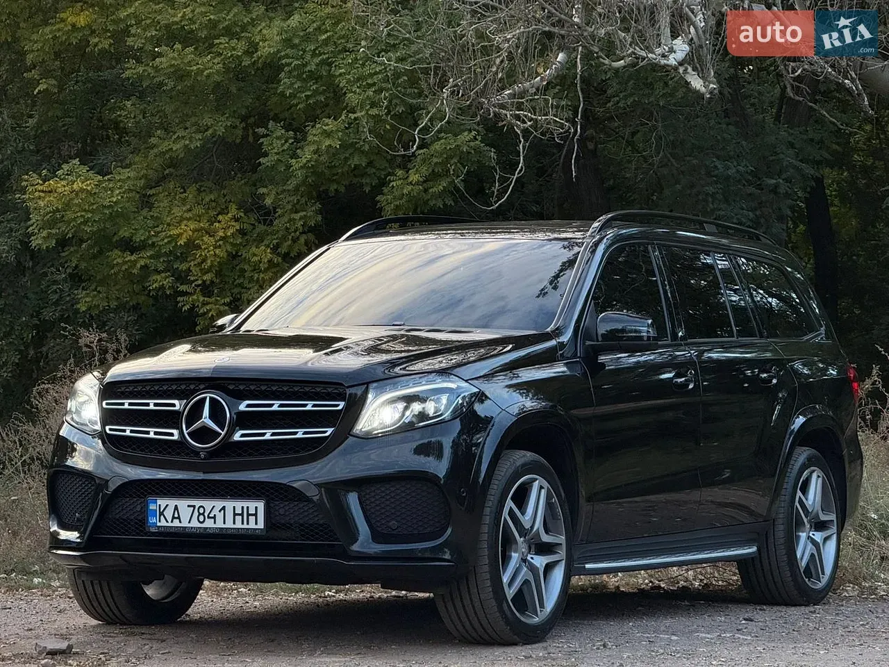 Mercedes-Benz Gls-Class 2016 photo 2