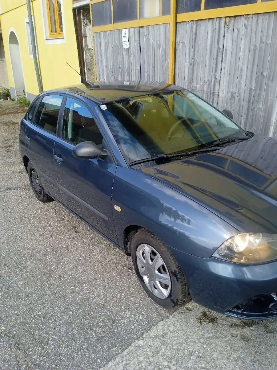 Seat Ibiza 2008 photo 2