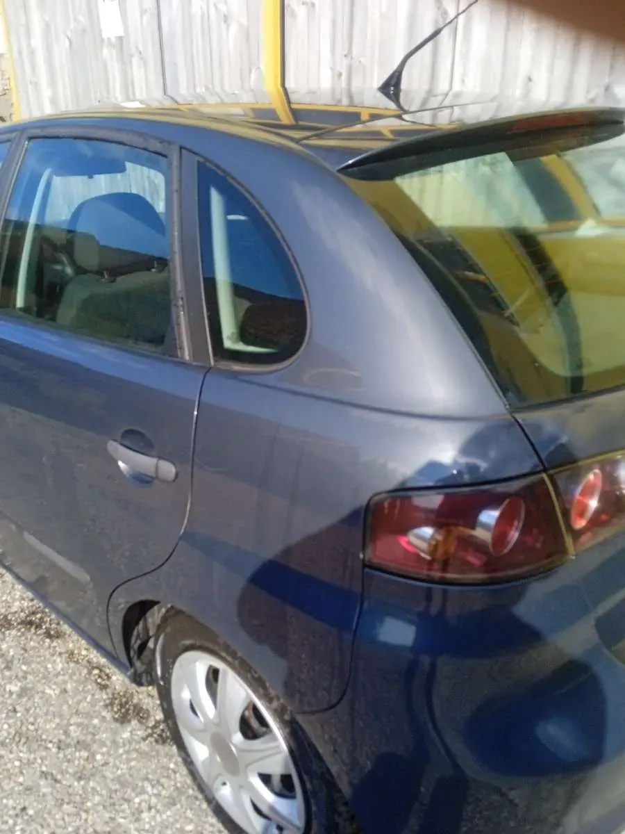 Seat Ibiza 2008 photo 3