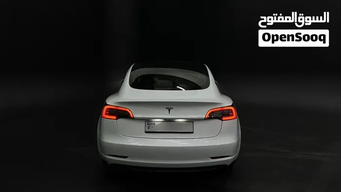 Tesla Model 3 2022 photo 3