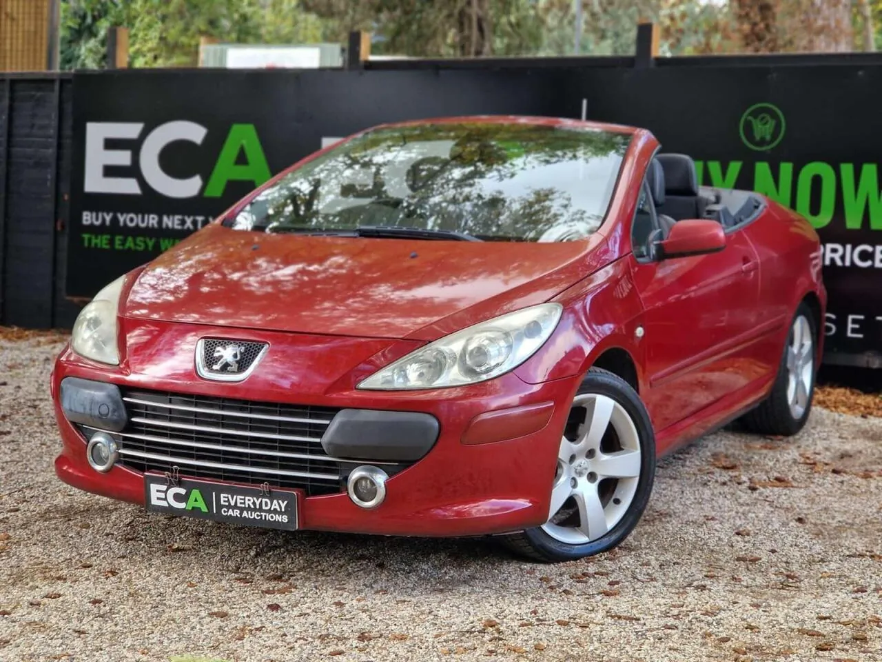 Peugeot 307 Cc 2008 photo 3