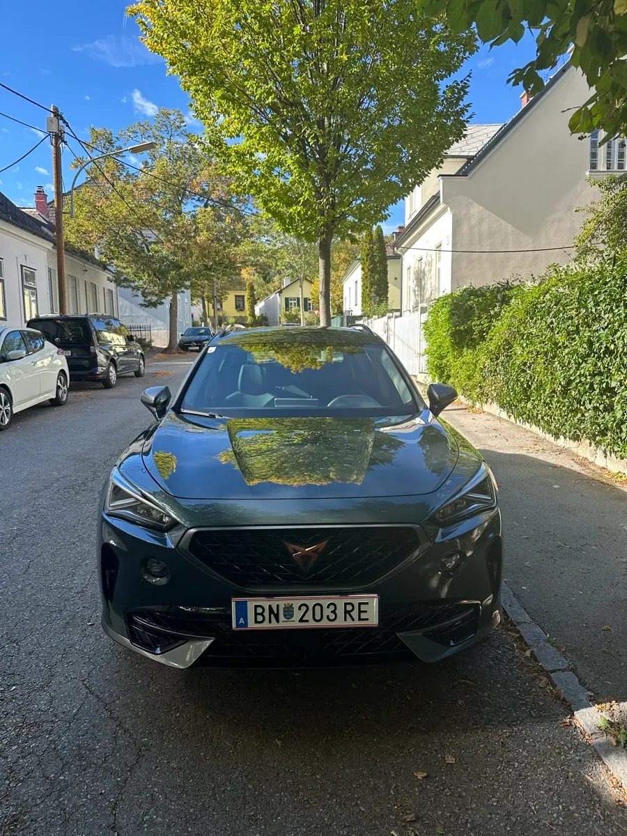 Cupra Formentor 2022 photo 2