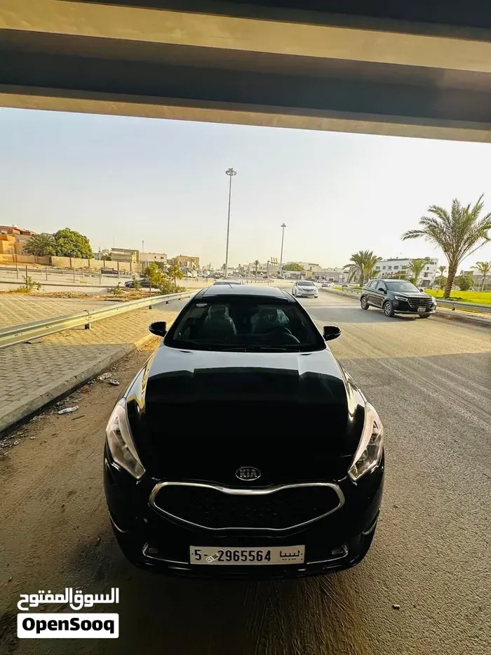 Kia Cadenza 2014 photo 2