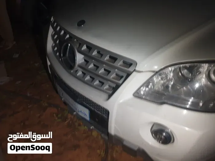 Mercedes-Benz M-Class 2010 photo 2