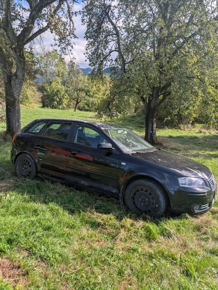 Audi A3 2007 photo 3