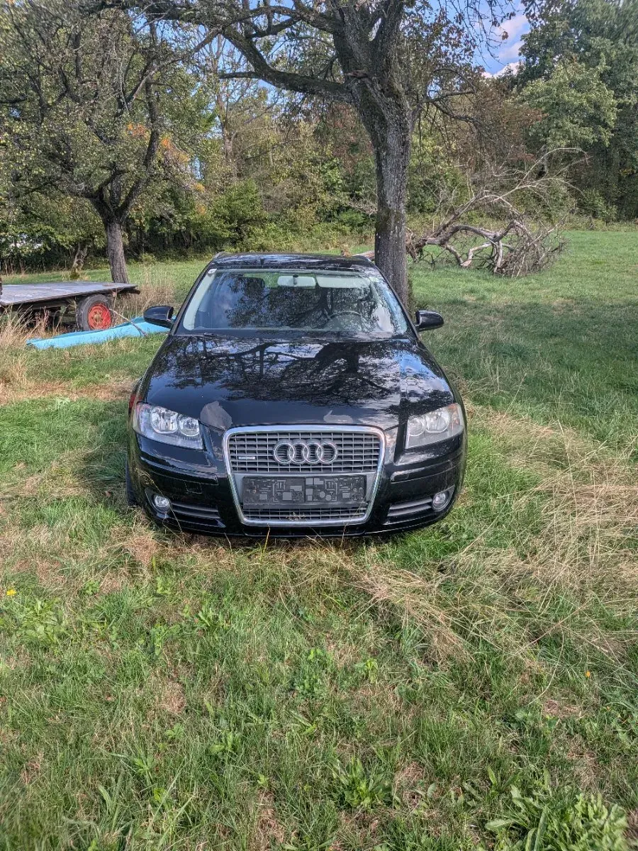 Audi A3 2007 photo 2