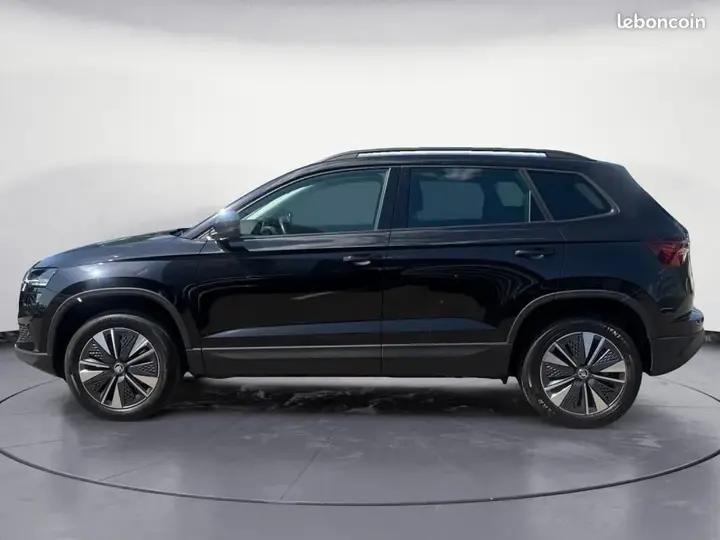 Skoda Karoq 2024 photo 3