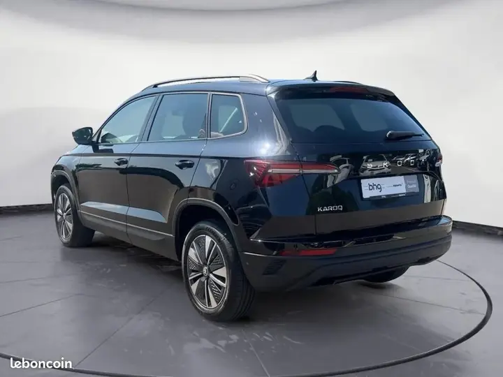 Skoda Karoq 2024 photo 4