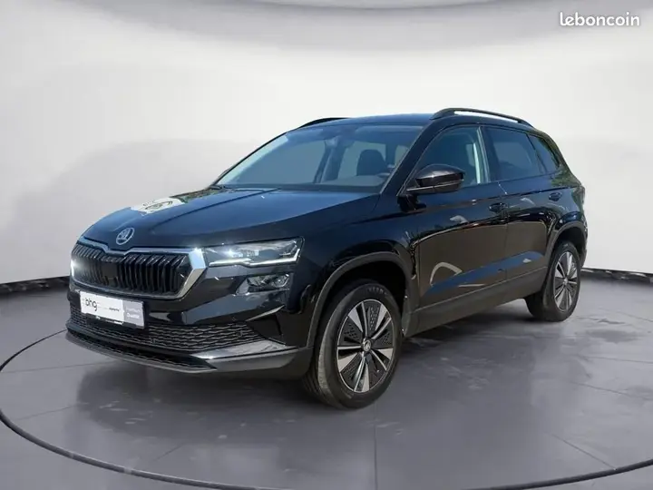 Skoda Karoq 2024 photo 2