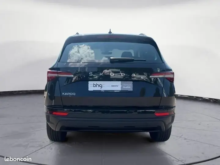 Skoda Karoq 2024 photo 5