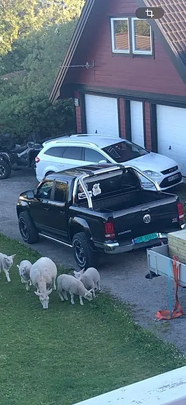 Volkswagen Amarok 2016 photo 4