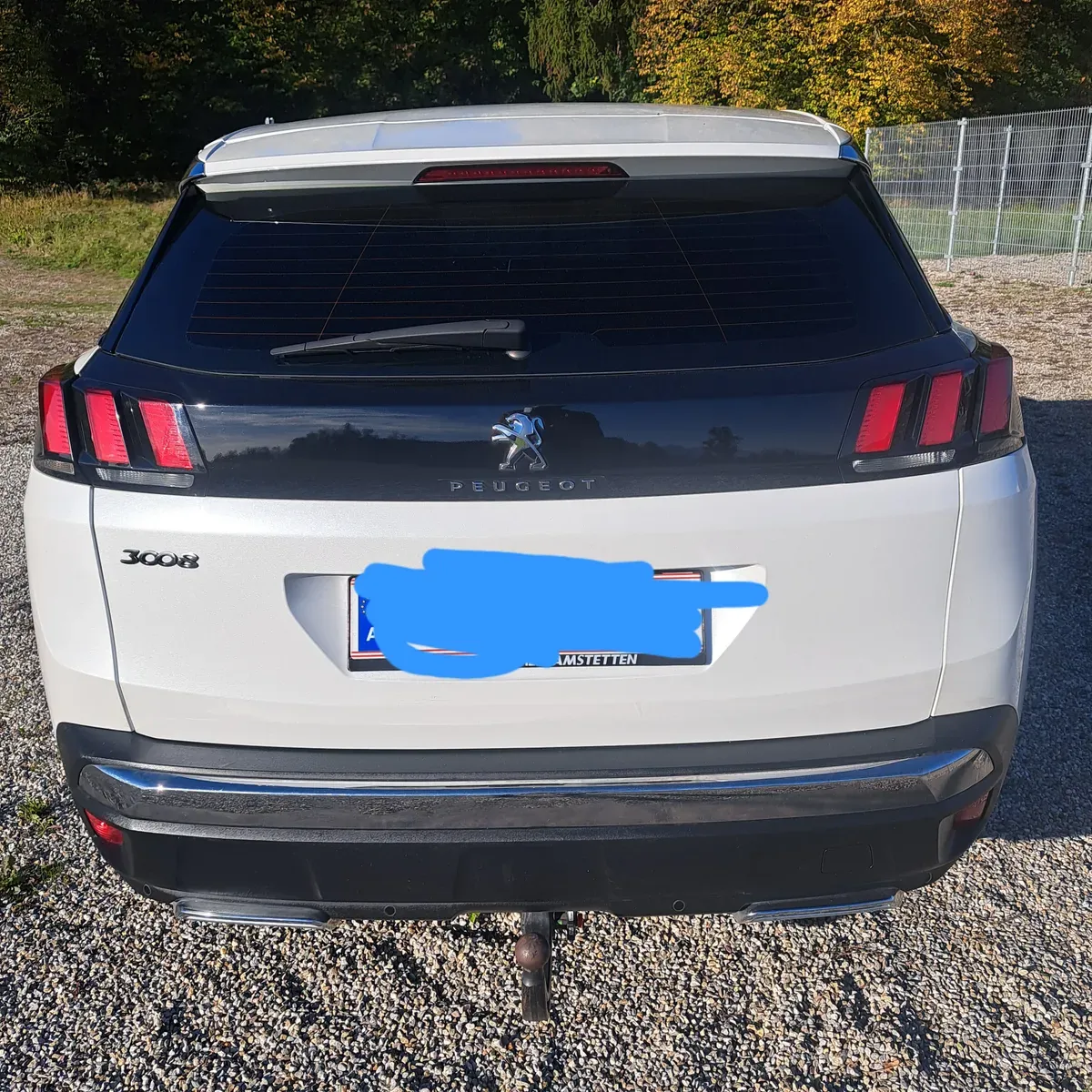 Peugeot 3008 2019 photo 3