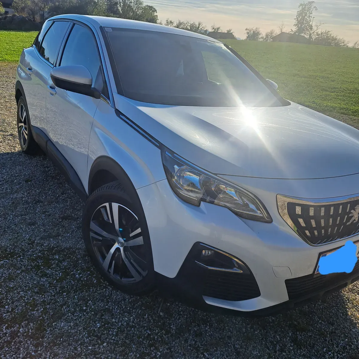 Peugeot 3008 2019 photo 2