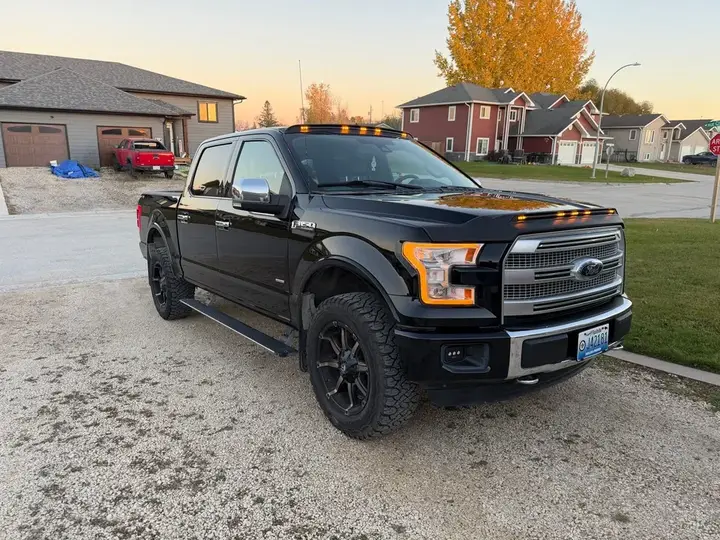 Ford F-150 2016 photo 5