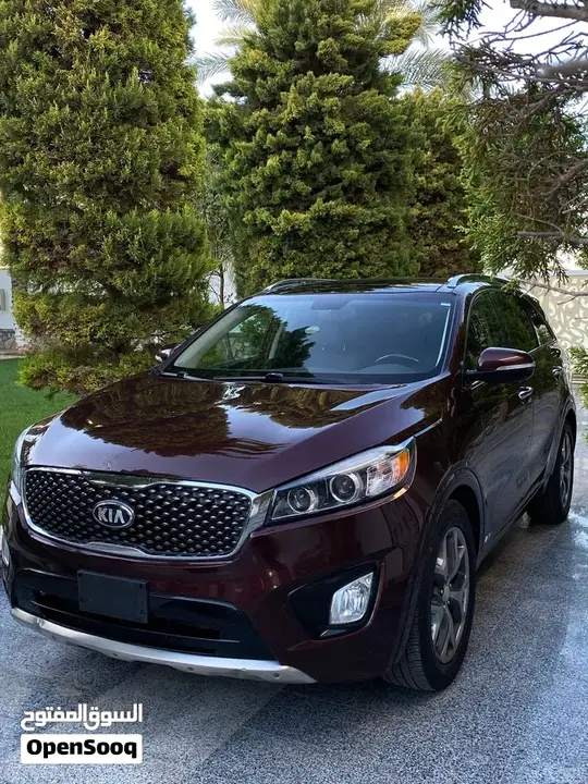 Kia Sorento 2017 photo 2
