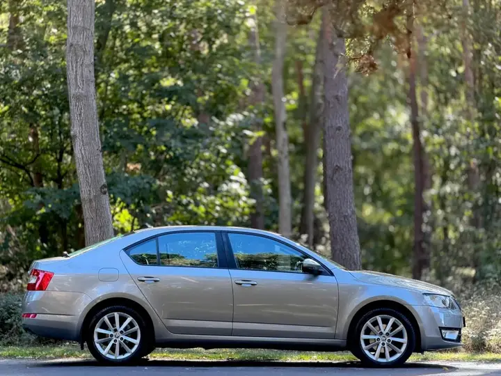Skoda Octavia 2014 photo 4