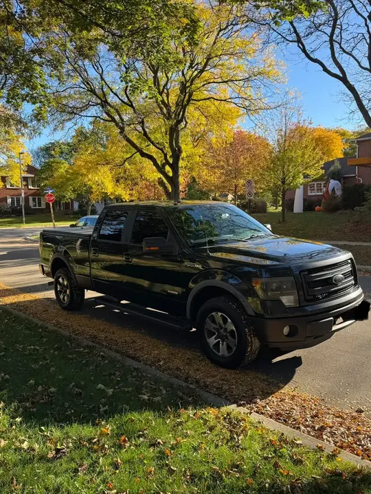 Ford F-150 2013 photo 3