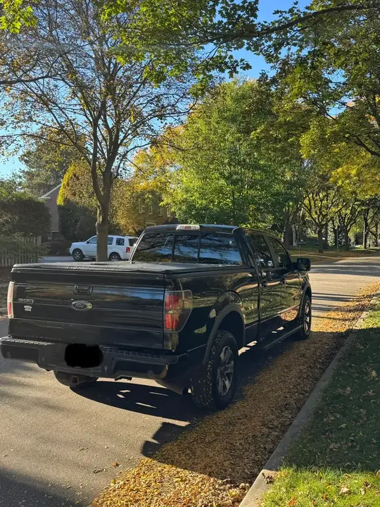 Ford F-150 2013 photo 2