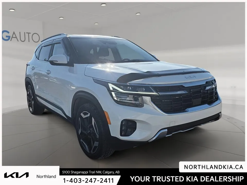 Kia Seltos 2024 photo 5