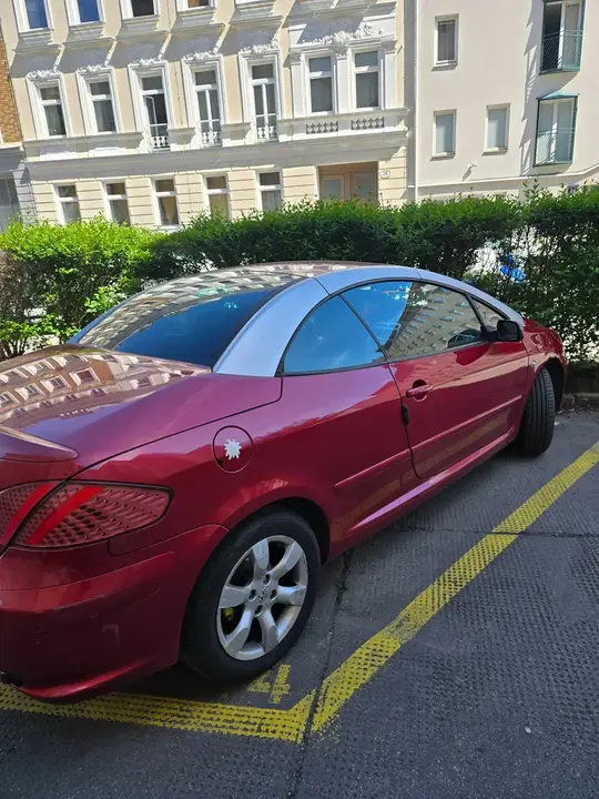 Peugeot 307 2006 photo 3