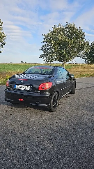 Peugeot 206 Cc 2004 photo 2