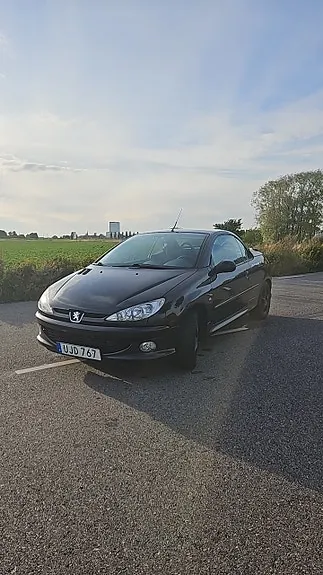 Peugeot 206 Cc 2004 photo 4