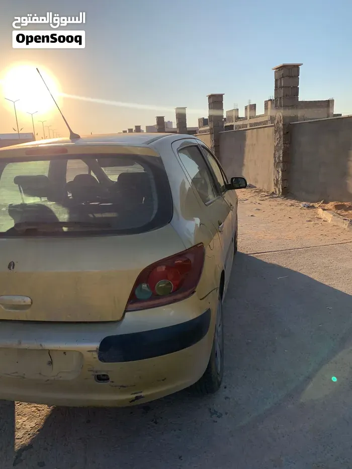 Peugeot 307 2004 photo 2