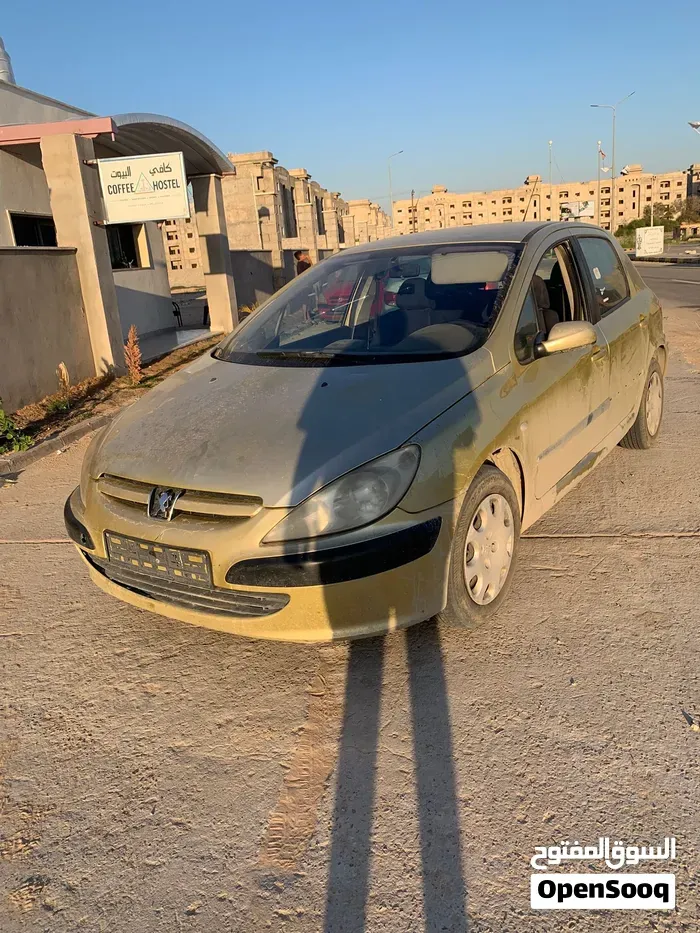Peugeot 307 2004 photo 3