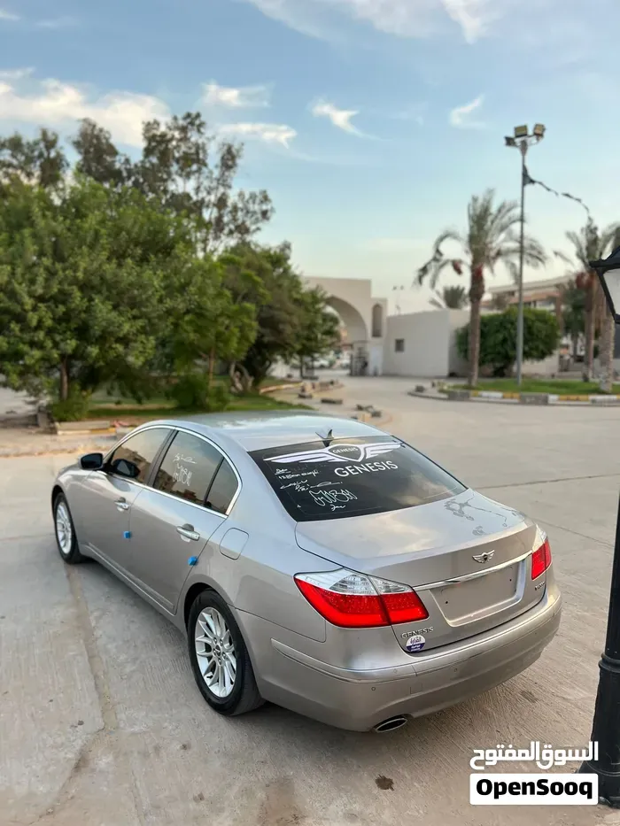 Genesis Sonata 2010 photo 2
