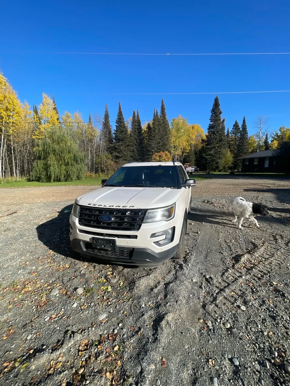 Ford Explorer Sport