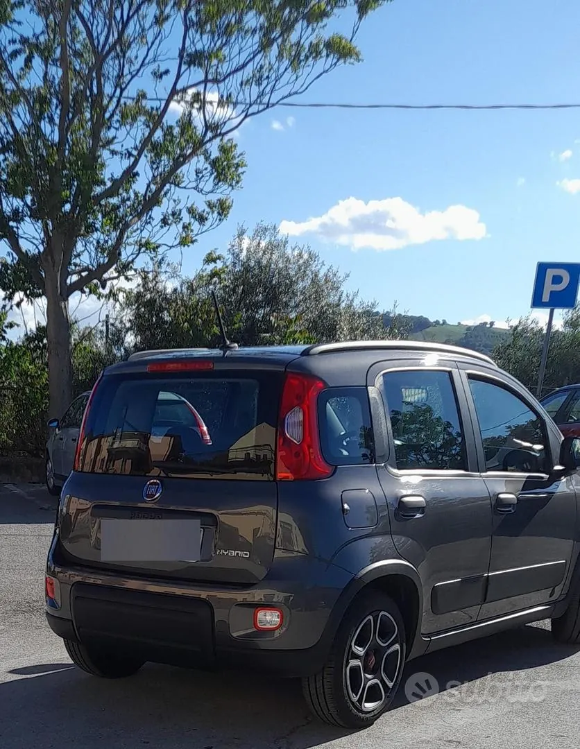 Fiat Panda 2022 photo 2