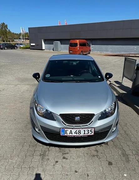 Seat Ibiza 2010 photo 3