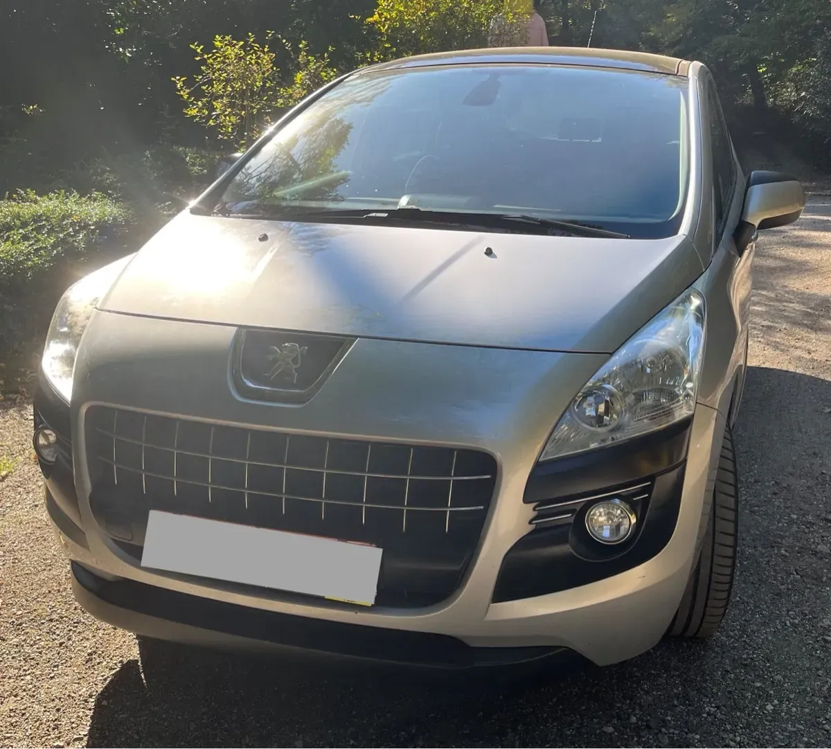 Peugeot 3008 2013 photo 3