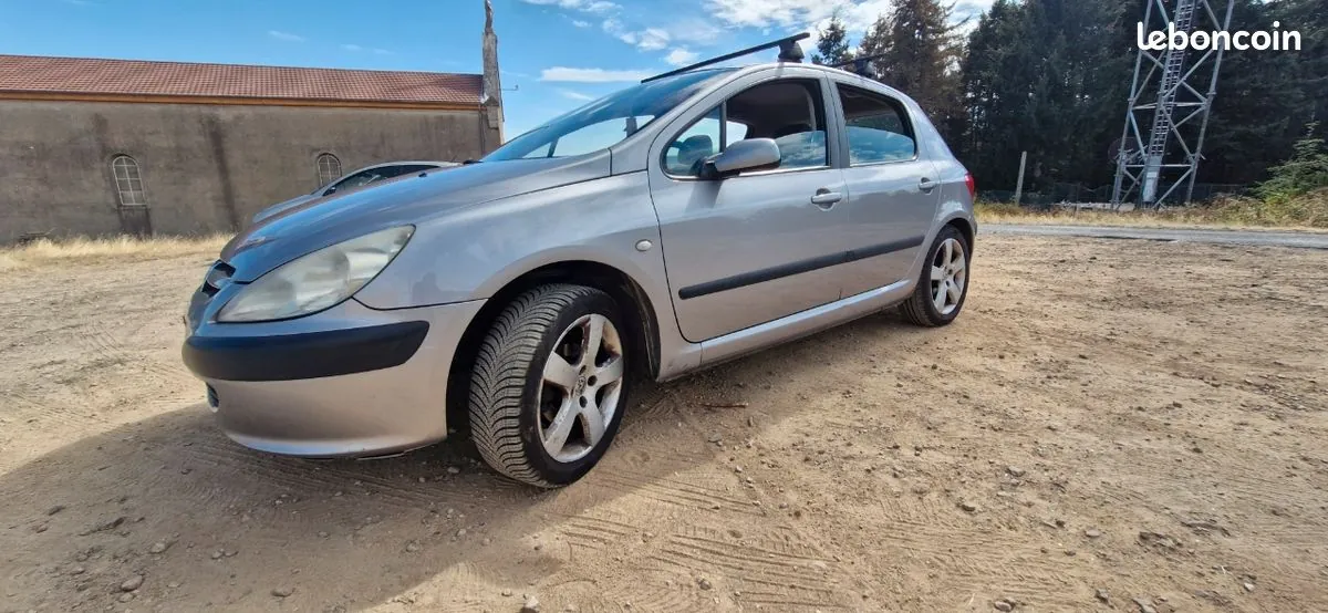 Peugeot 307 2004 photo 2