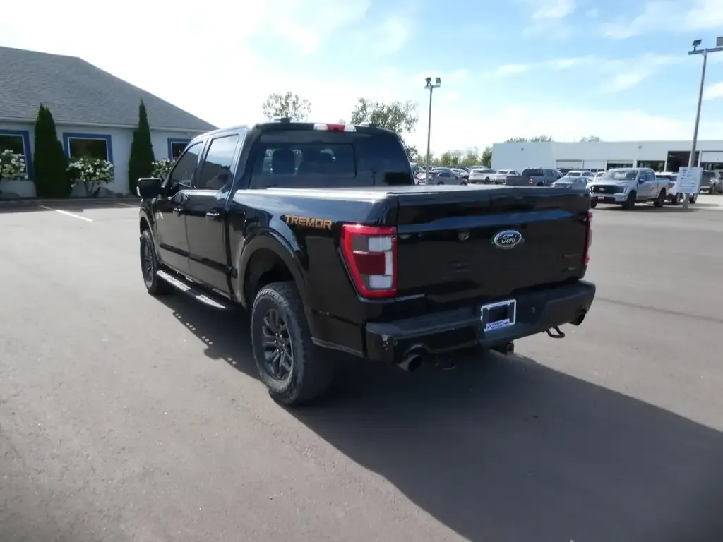 Ford F-150 2022 photo 3