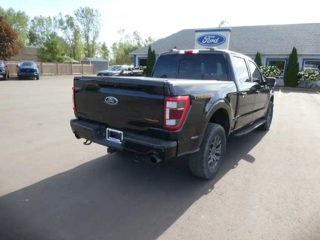 Ford F-150 2022 photo 5