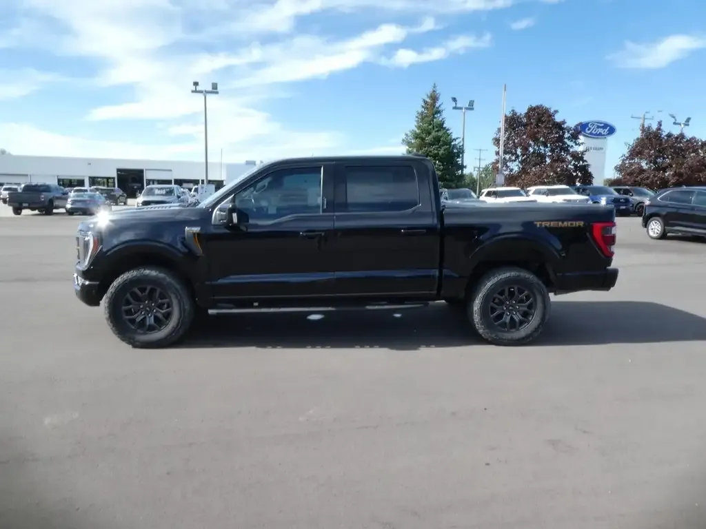 Ford F-150 2022 photo 2