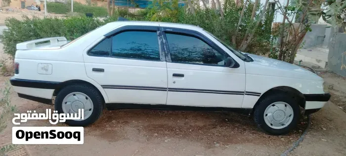 Peugeot 405 1995 photo 2