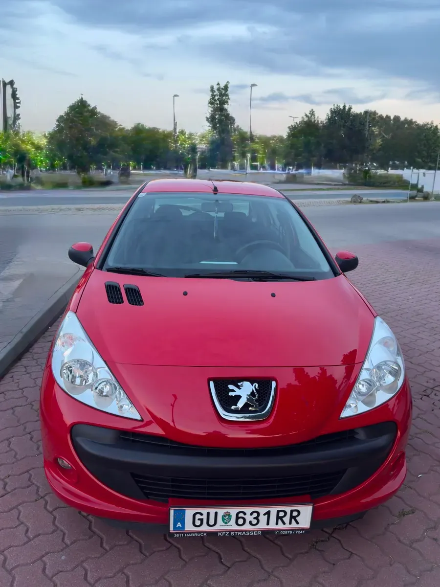 Peugeot 206 2009 photo 2