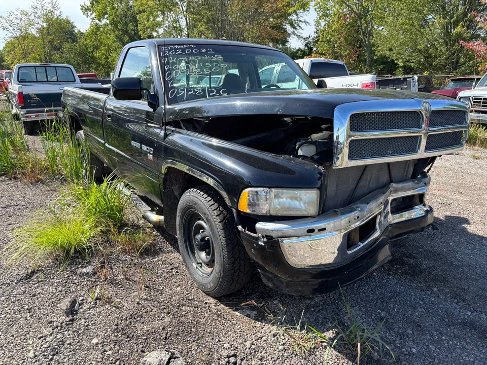 Dodge Ram 1500 1994 photo 5
