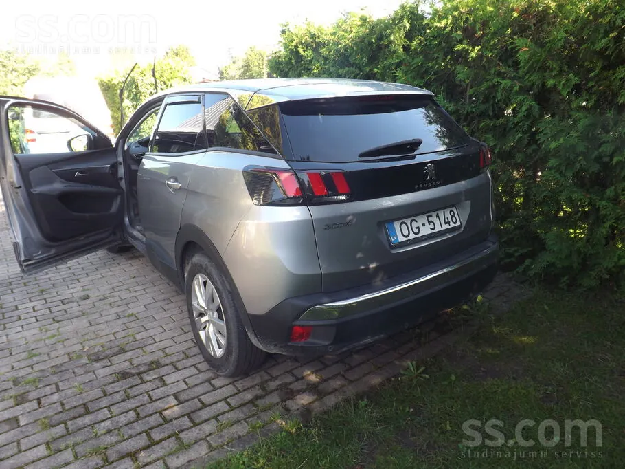 Peugeot 3008 2020 photo 2
