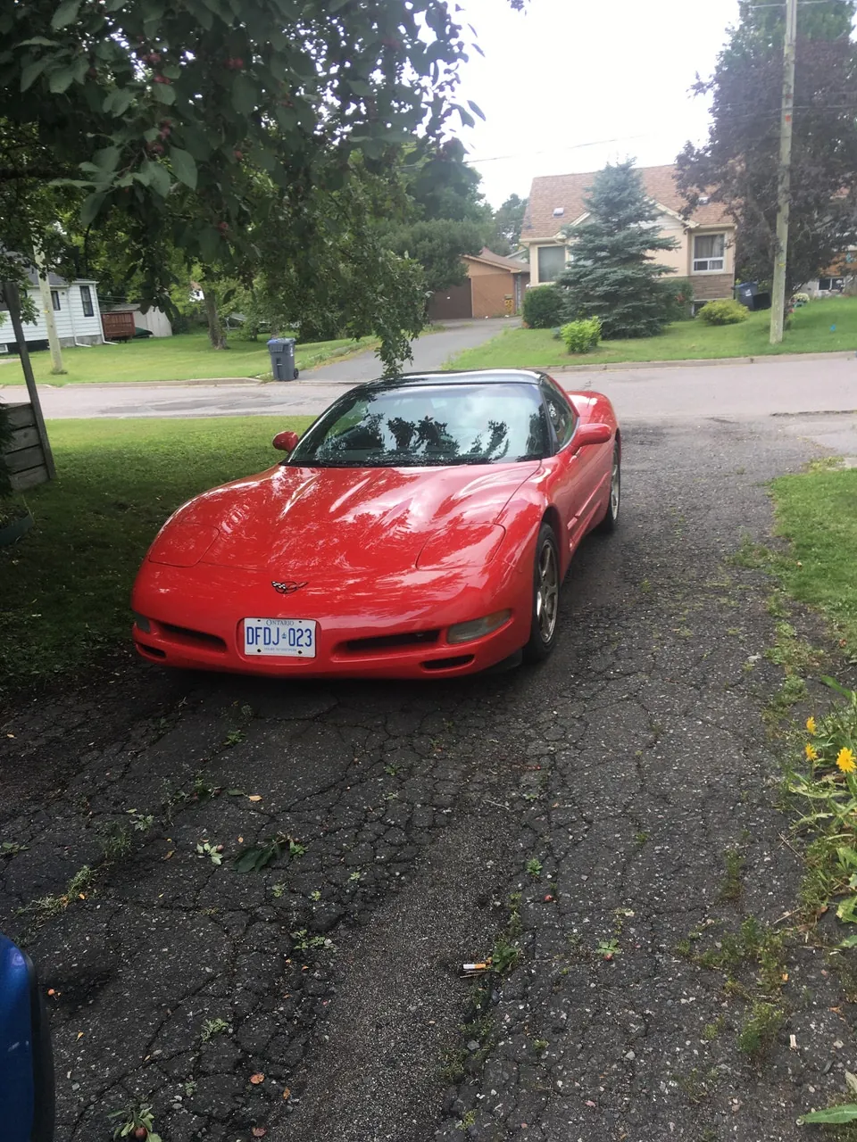 Chevrolet Corvette
