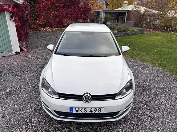 Volkswagen Golf Vii 2016 photo 2