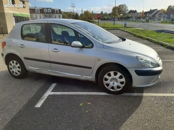 Peugeot 307 2002 photo 2