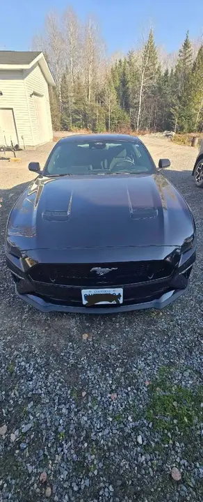 Ford Mustang Gt 2022 photo 4