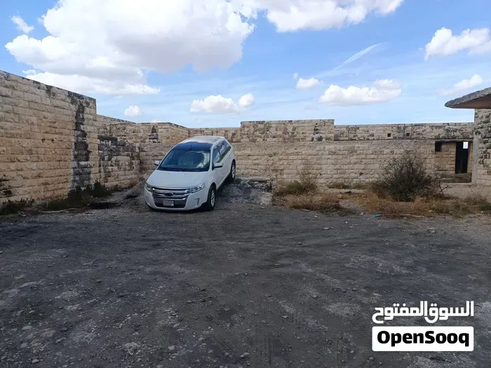 Ford Edge 2011 photo 2